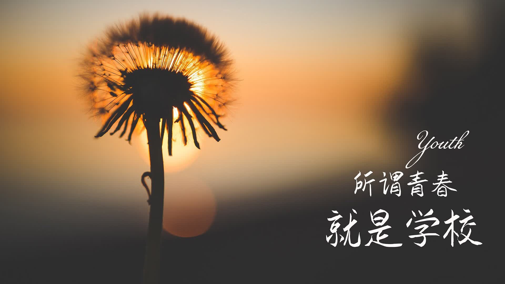 钢材价格上涨的主要原因(钢材价格上涨的原因 产能受限)